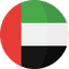 Dubai Flag